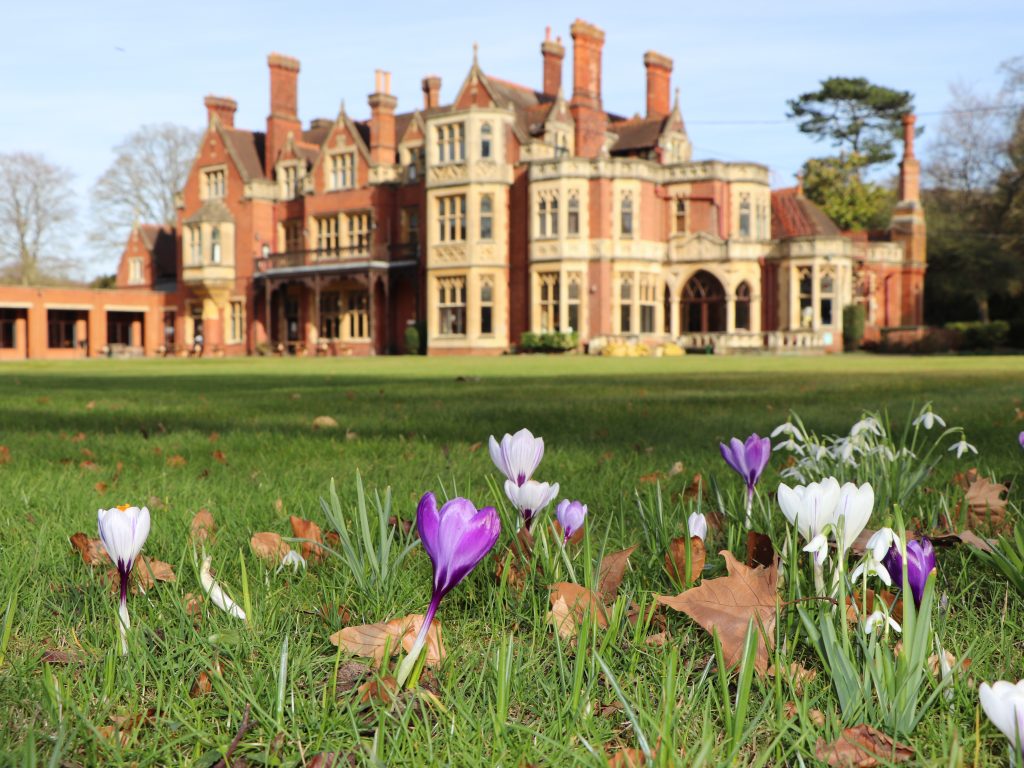 flowers blooming on the grounds of the school