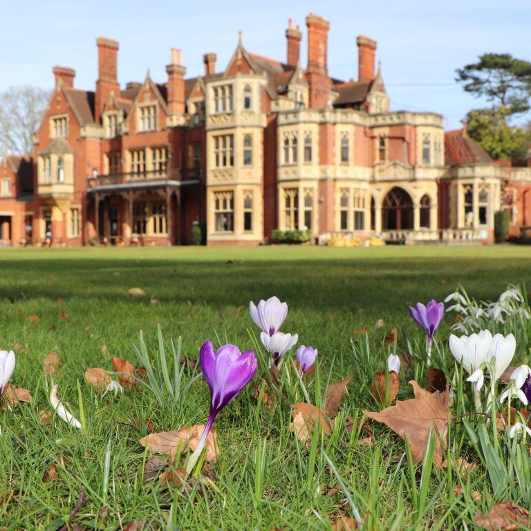 flowers blooming on the grounds of the school