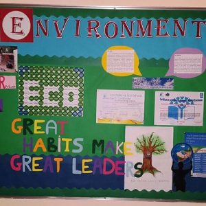 bulletin board display