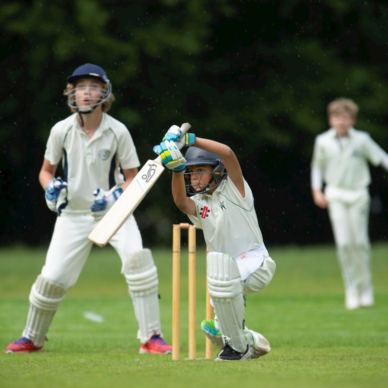 cricket game