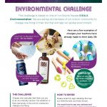 Environment Challenge