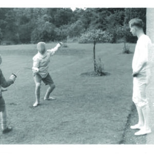 Fencing on the rear lawn